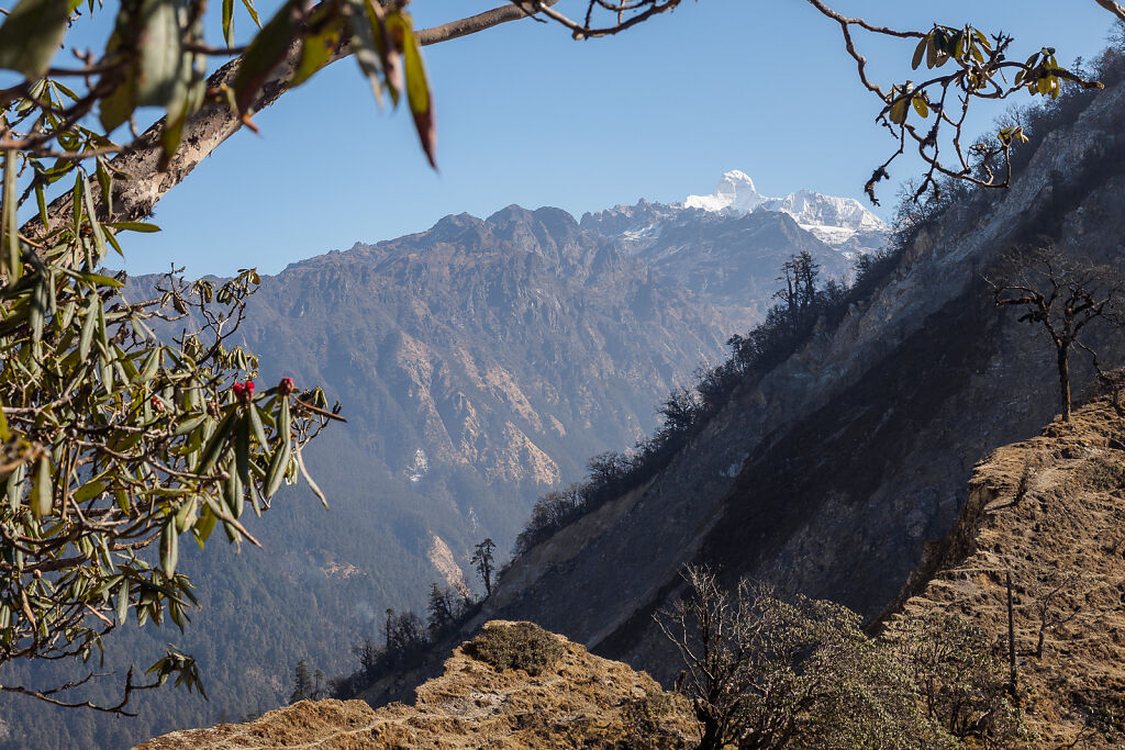 Kanchenjunga South - Into the Wild