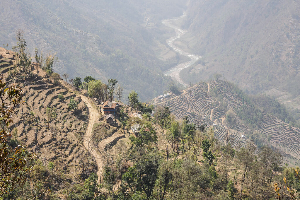 Kanchenjunga North - Back to Suketar